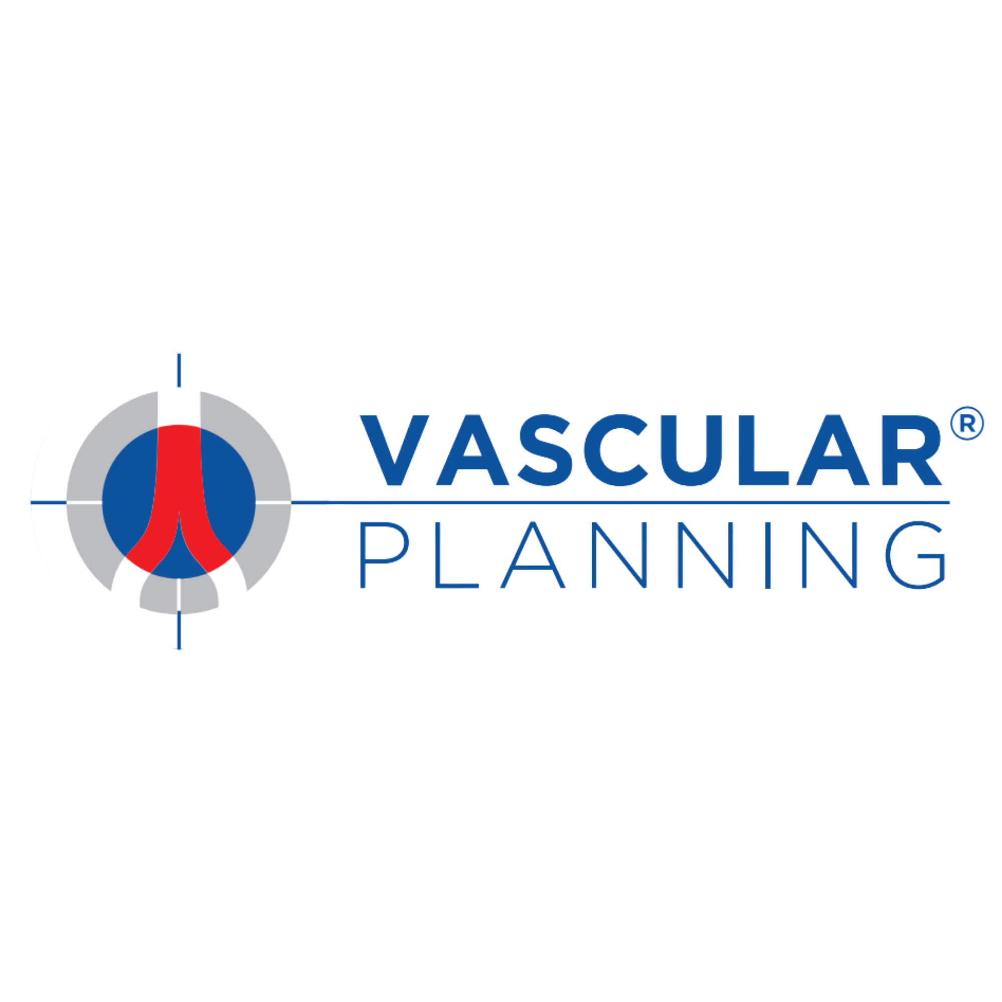 Vascular Planning Logo